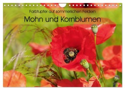 Farbtupfer auf sommerlichen Feldern - Mohn und Kornblumen (Wandkalender 2026 DIN A4 quer), CALVENDO Monatskalender - Anja Frost