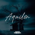 Cover-Bild zum Titel 'Aquilon (Remastered Reissue)' von 'Degiheugi'