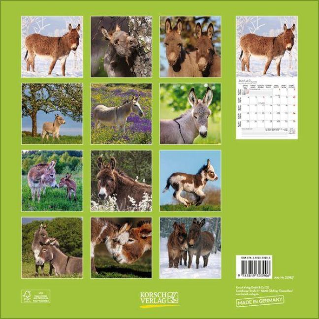 InsideView 13