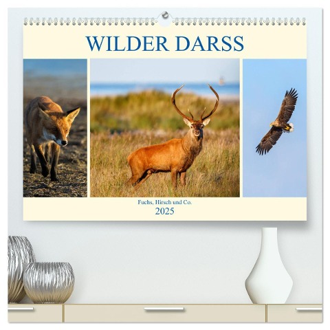 Wilder Darß - Fuchs, Hirsch und Co. 2025 (hochwertiger Premium Wandkalender 2025 DIN A2 quer), Kunstdruck in Hochglanz - Daniela Beyer (Moqui)