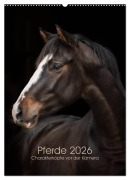 Pferde 2026 - Charakterköpfe vor der Kamera (Wandkalender 2026 DIN A2 hoch), CALVENDO Monatskalender - Paula Müller