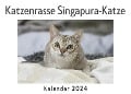 Katzenrasse Singapura-Katze (Wandkalender 2024, Kalender DIN A4 quer, Monatskalender im Querformat mit Kalendarium, Das perfekte Geschenk) - Anna Müller