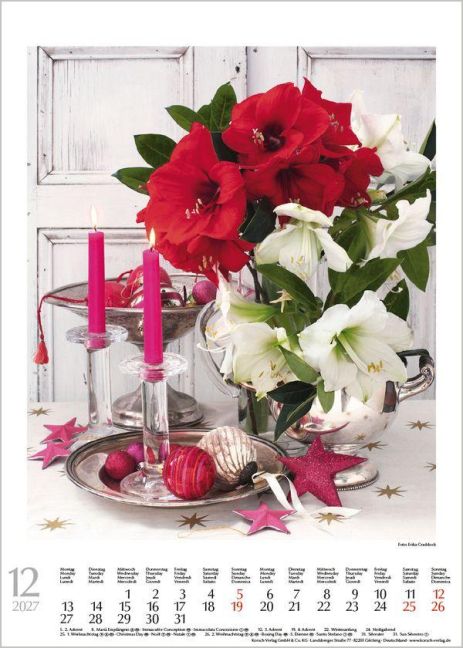 InsideView 12