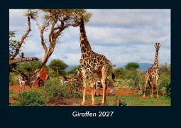 Cover-Bild zum Titel 'Giraffen 2027 Fotokalender DIN A4' von 'Tobias Schmitt, Kevin Heber'