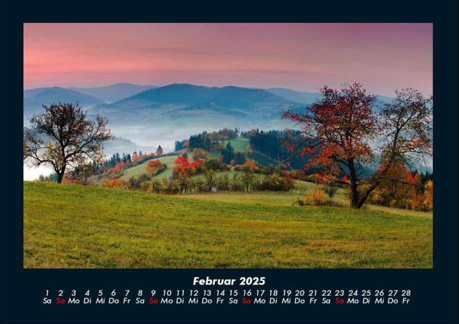 InsideView 6