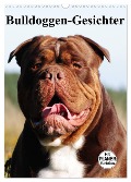 Bulldoggen-Gesichter (Wandkalender 2025 DIN A3 hoch), CALVENDO Monatskalender - Elisabeth Stanzer