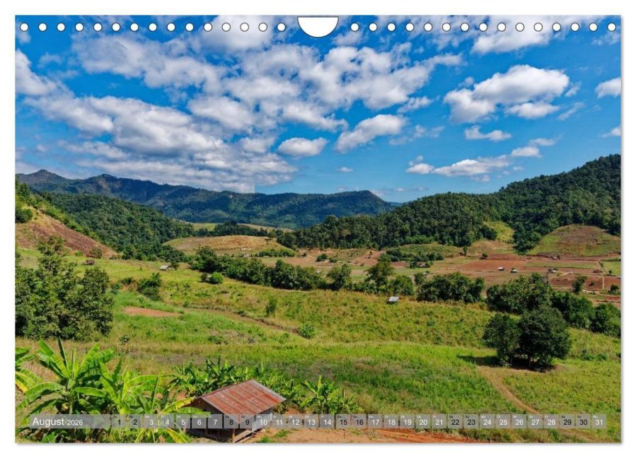 InsideView 13