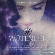 Die Farben des Blutes 4: Wütender Sturm - Victoria Aveyard