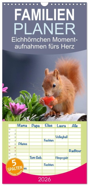 Familienplaner 2026 - Eichhörnchen Momentaufnahmen fürs Herz mit 5 Spalten (Wandkalender, 21 x 45 cm) CALVENDO - Tine Meier