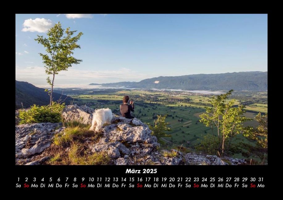 InsideView 7