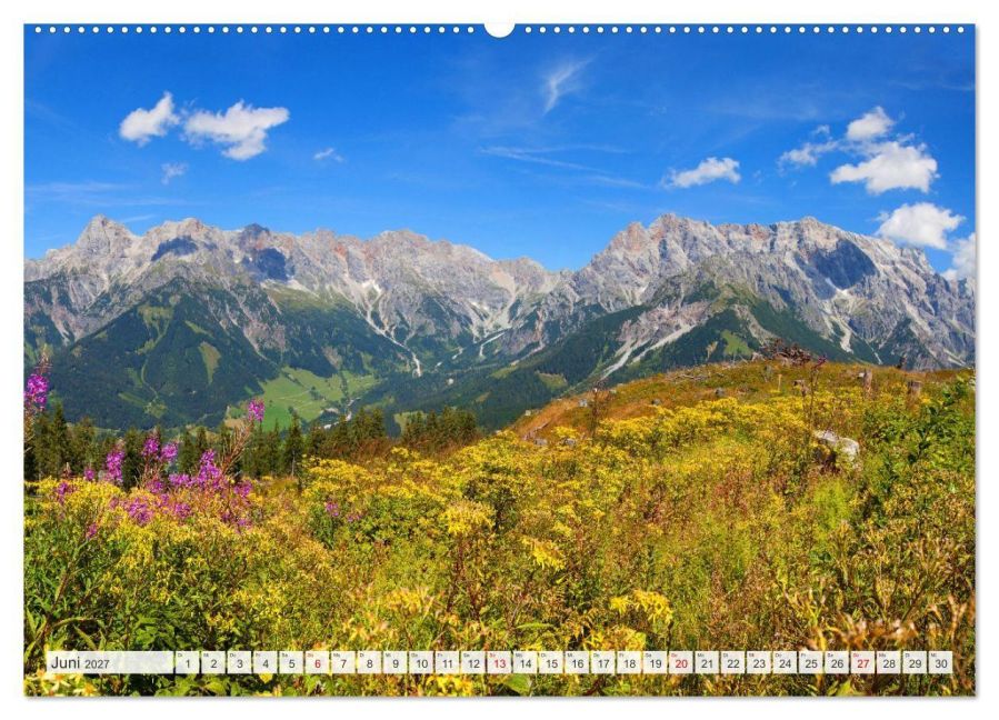 InsideView 10
