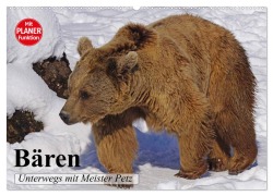 Cover-Bild zum Titel 'Bären. Unterwegs mit Meister Petz (Wandkalender 2026 DIN A2 quer), CALVENDO Monatskalender' von 'Elisabeth Stanzer'