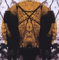 Feel It Break - Austra