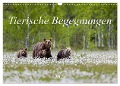 Tierische Begegnungen (Wandkalender 2024 DIN A3 quer), CALVENDO Monatskalender - Daniela Beyer (Moqui)