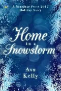Cover-Bild zum Titel 'Home in a Snowstorm' von 'Ava Kelly'