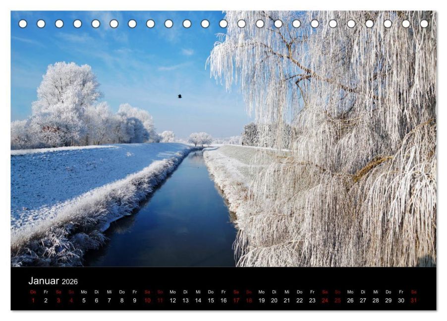 InsideView 6