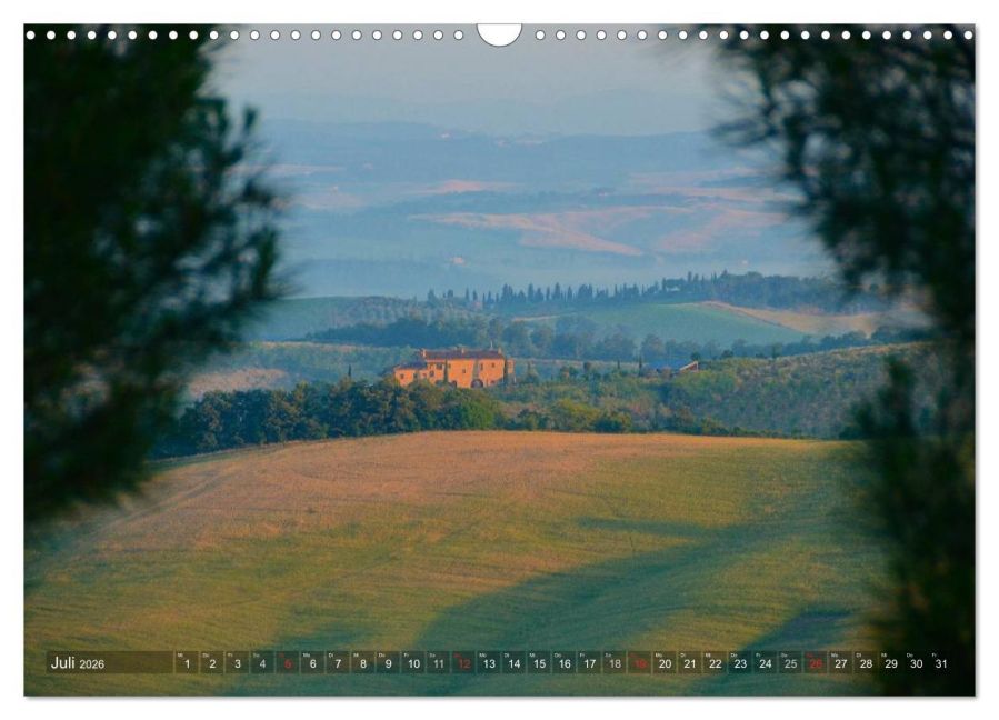 InsideView 12