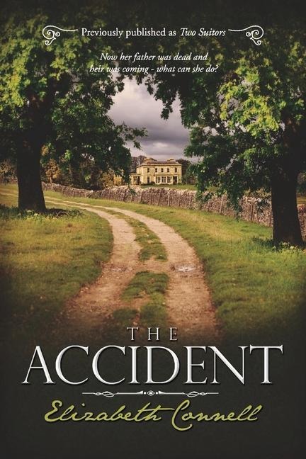 The Accident: Volume 1 - Elizabeth Connell