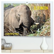 Cover-Bild zum Titel 'ELEFANTEN IN UNBERÜHRTER NATUR (hochwertiger Premium Wandkalender 2026 DIN A2 quer), Kunstdruck in Hochglanz' von 'Roman Goldinger'