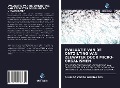 Cover-Bild zum Titel 'EVALUATIE VAN DE ONTZILTING VAN ZEEWATER DOOR MICRO-ORGANISMEN' von 'Alan Da Costa Guimarães'