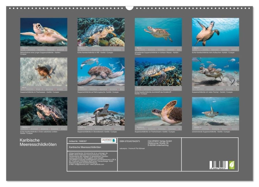 InsideView 5