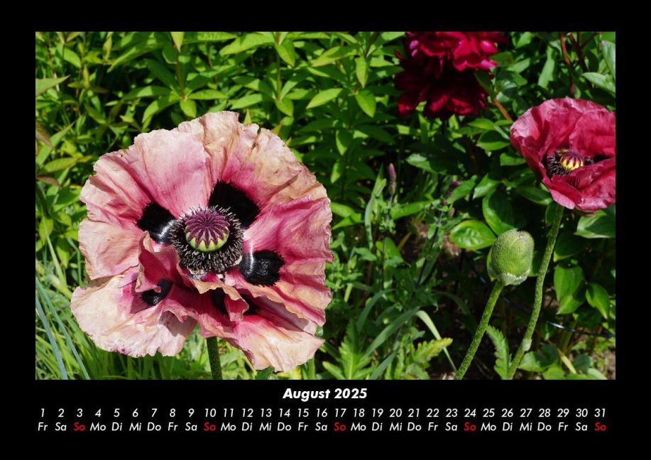 InsideView 12