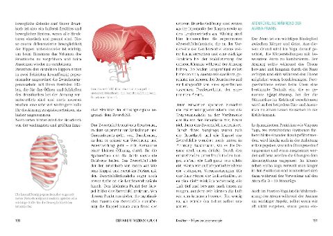 InsideView 7