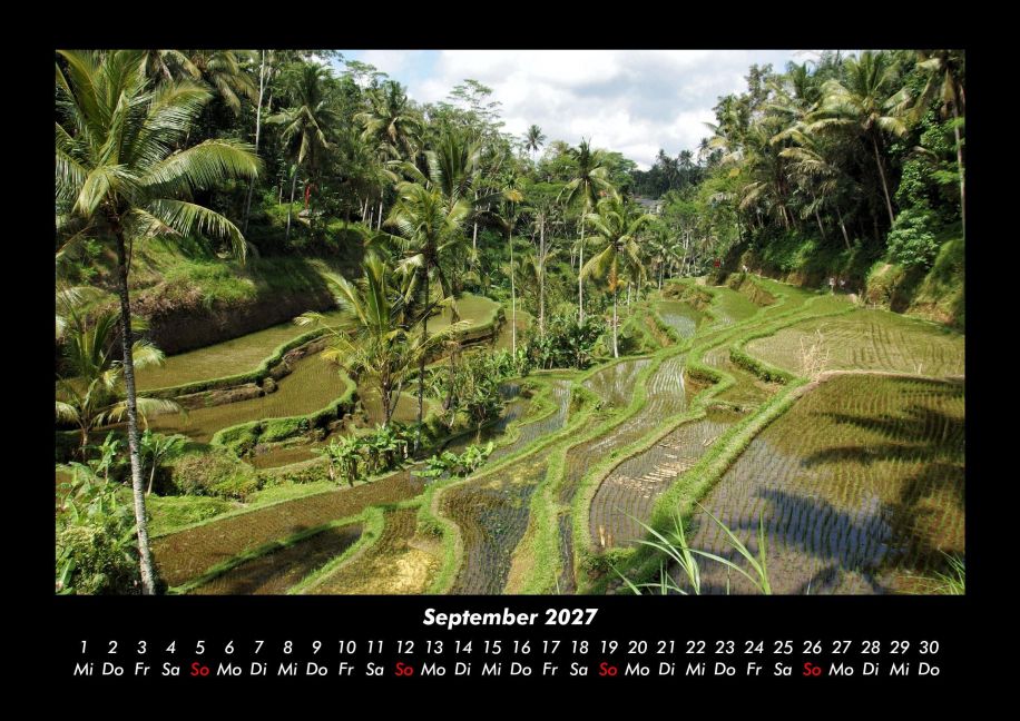 InsideView 1