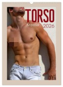 Cover-Bild zum Titel 'Torso - Männer 2026 (Wandkalender 2026 DIN A3 hoch), CALVENDO Monatskalender' von 'Malestockphoto Malestockphoto'