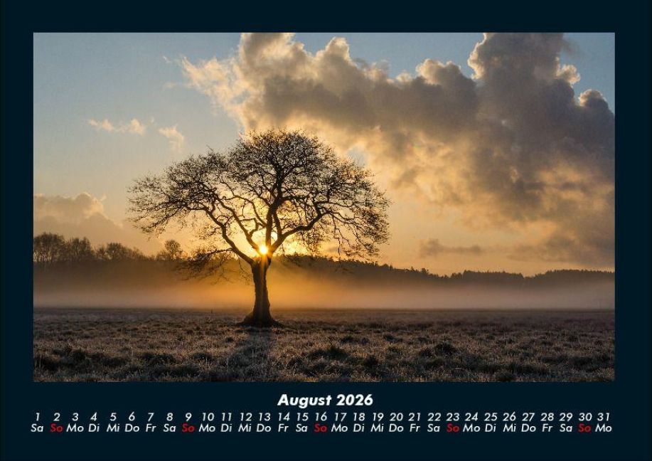 InsideView 12