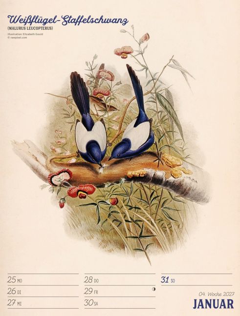 InsideView 8