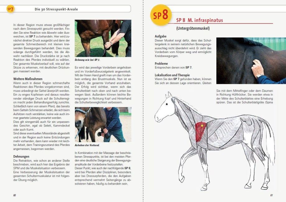 InsideView 7