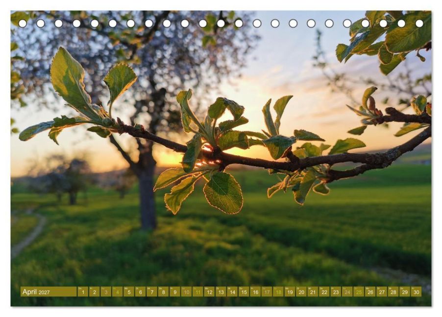 InsideView 9