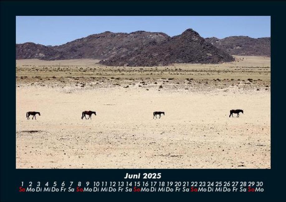InsideView 10