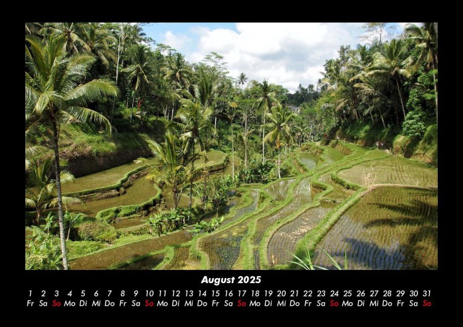 InsideView 12