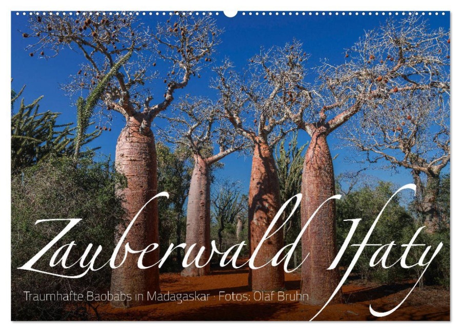 Zauberwald Ifaty · Traumhafte Baobabs in Madagaskar (Wandkalender 2026 DIN A2 quer), CALVENDO Monatskalender - Olaf Bruhn