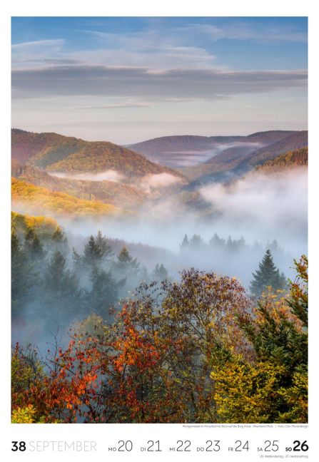 InsideView 39