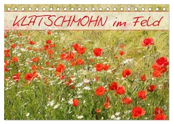 Klatschmohn im Feld (Tischkalender 2026 DIN A5 quer), CALVENDO Monatskalender - Gisela Kruse