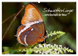 Cover-Bild zum Titel 'Schmetterlinge - zarte Geschöpfe der Natur (Wandkalender 2026 DIN A2 quer), CALVENDO Monatskalender' von 'Melanie Viola'