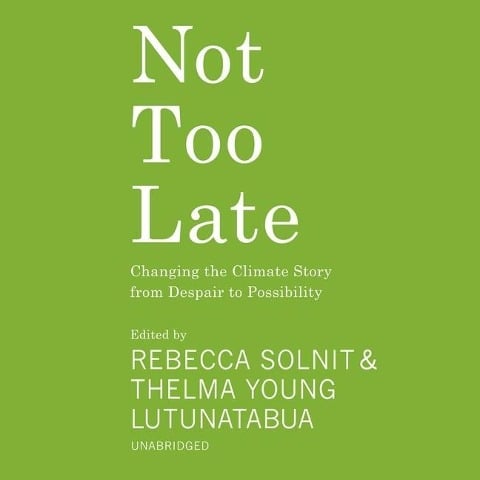 Not Too Late - Various Authors