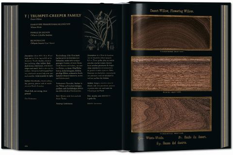 InsideView 7