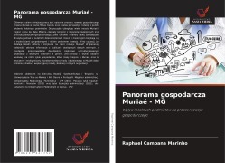 Cover-Bild zum Titel 'Panorama gospodarcza Muriaé - MG' von 'Raphael Campana Marinho'