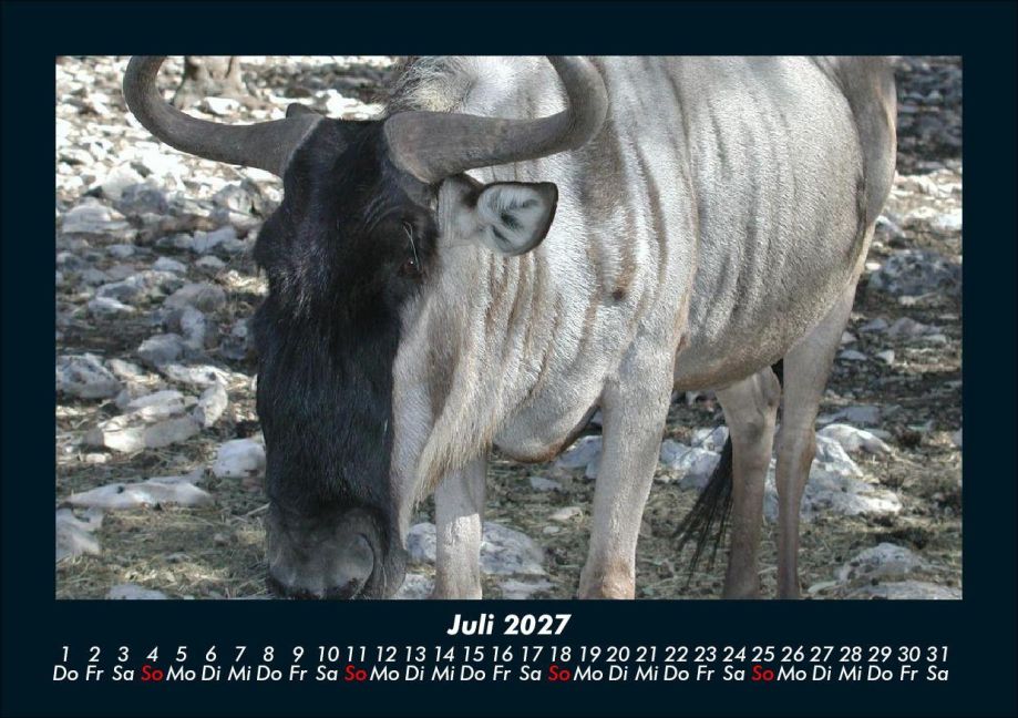 InsideView 11