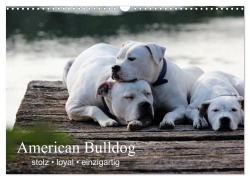 Cover-Bild zum Titel 'American Bulldog - stolz, loyal, einzigartig (Wandkalender 2026 DIN A3 quer), CALVENDO Monatskalender' von 'Denise Schmöhl'