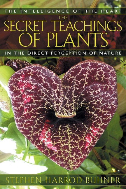 The Secret Teachings of Plants - Stephen Harrod Buhner