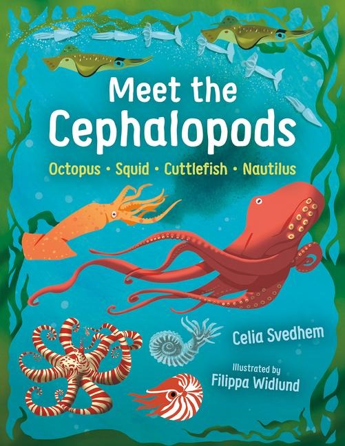 Meet the Cephalopods - Celia Svedhem