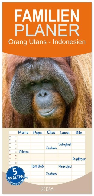 Familienplaner 2026 - Orang Utans - Indonesien mit 5 Spalten (Wandkalender, 21 x 45 cm) CALVENDO - Heike Newinger