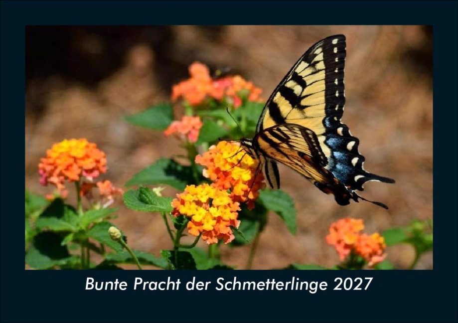 Bunte Pracht der Schmetterlinge 2027 Fotokalender DIN A5 - Tobias Schmitt, Kevin Heber