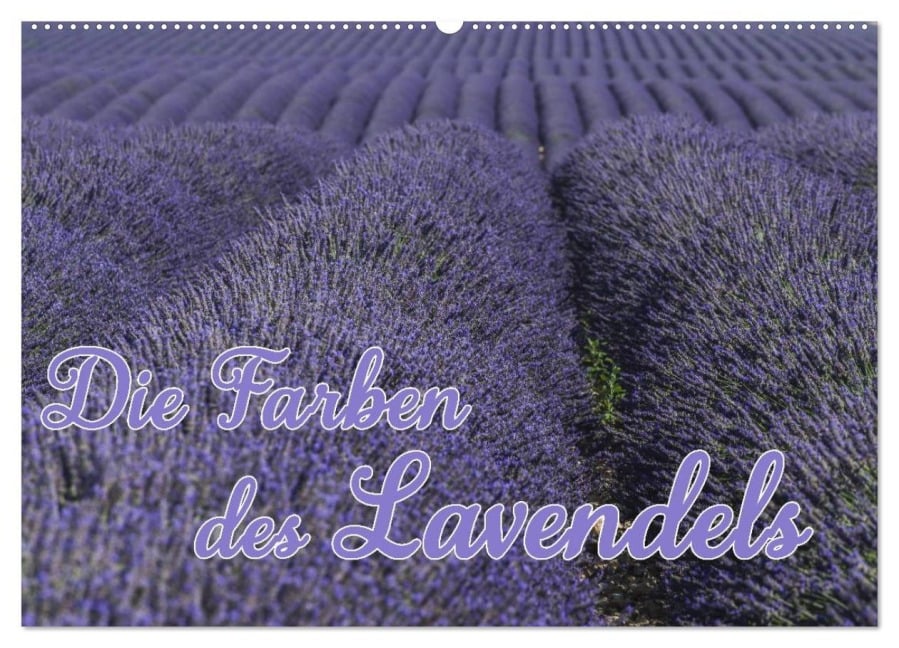 Die Farbe des Lavendels (Wandkalender 2025 DIN A2 quer), CALVENDO Monatskalender - Ralf-Udo Thiele