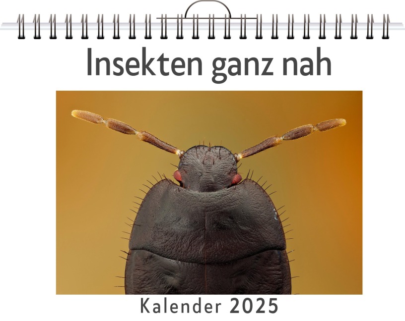 Insekten ganz nah - Henry Müller